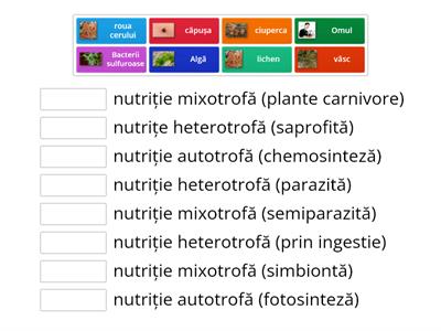 Hrănirea plantelor și animalelor- generalități