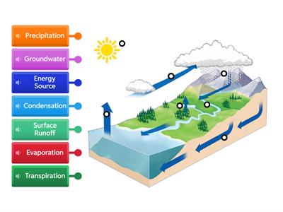 Water Cycle Labeled Diagram 