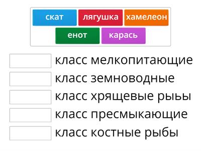 классы животных