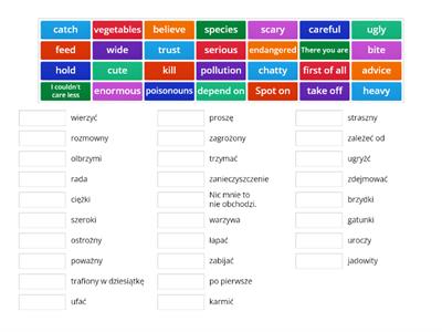 brainy 6 unit 4 important vocabulary