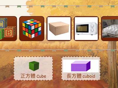 3D Shape sorting - cube v.s. cuboid