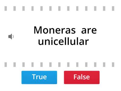 Monera, Protists and Fungi kingdoms