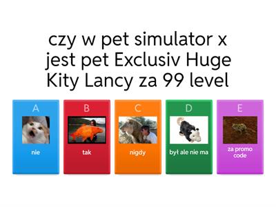Pet simulator x 