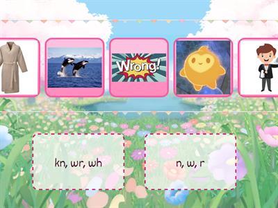 Silent Letters Speed Sort