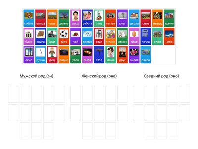 Род существительных