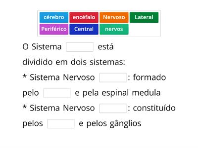 Sistema Nervoso Central