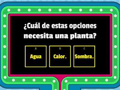 Las necesidades de las plantas. 