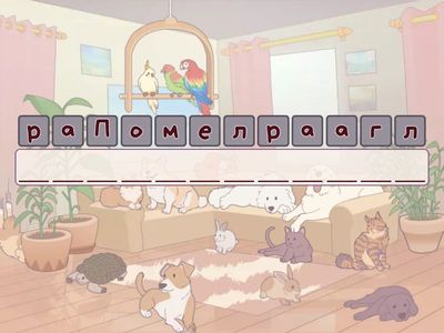 Геометричні фігури