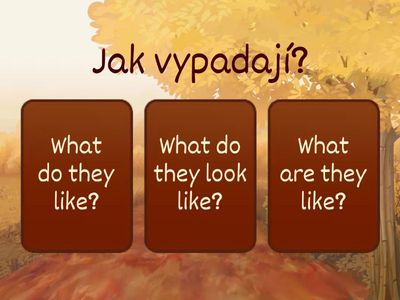  What is he like? / What does he look like? 