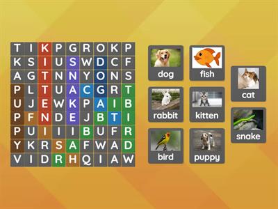Find the pet words