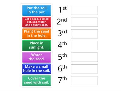 How to Plant a Seed ( Instructions)