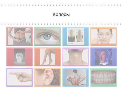 РКИ части тела Сорока 2.1