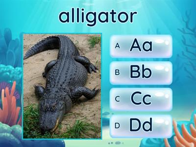 ABCD Letters with Pictures