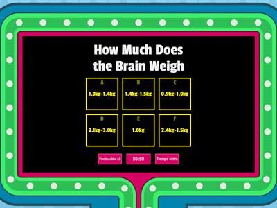 Brain Quiz