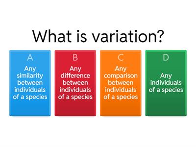 YR6: Evolution and inheritance CT