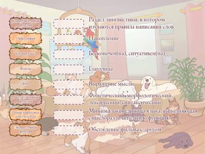 Практическая работа (сопоставить изученный материал)
