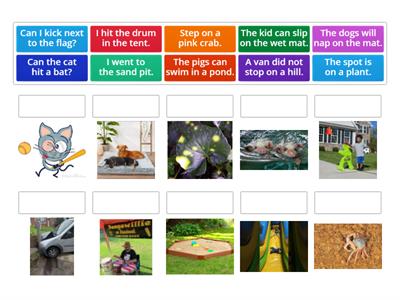 CVCC and CCVC sentences