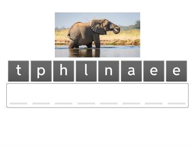 Language Canvas Lesson 5