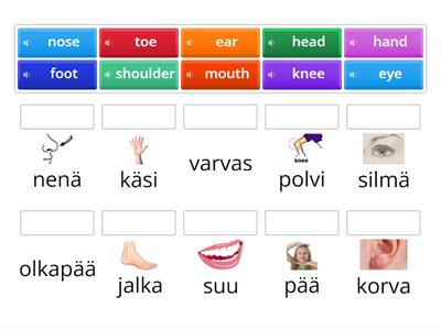 Bodyparts - kehonosat