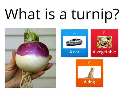 The enormous Turnip story