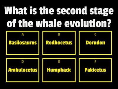 Evolution and inheritance
