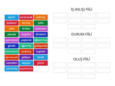 Anlamlarına Göre Fiiller