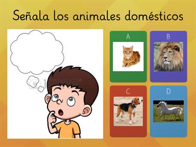 Animales Domésticos