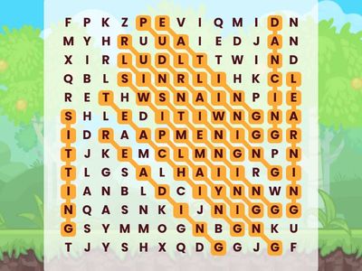 Find the Words