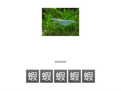 海洋動物拼寫單字