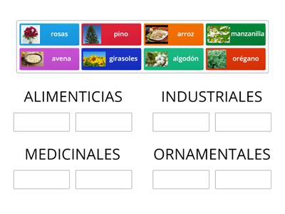 CLASIFICACION DE LAS PLANTAS SEGUN SU UTILIDAD