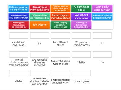 Inheritance and Variation Part 2 Alleles and Inheritance