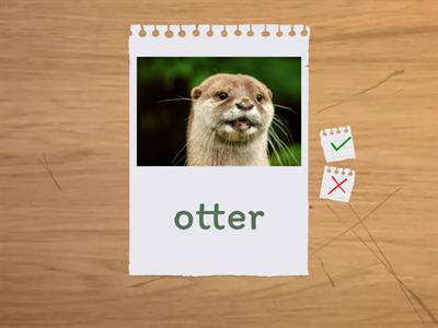 Beehive Starter, Unit 5, Phonics