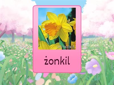 Spring Symbols