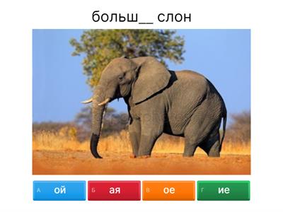 1.9 Повторение окончаний прил.