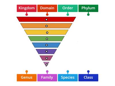 Levels of Classification