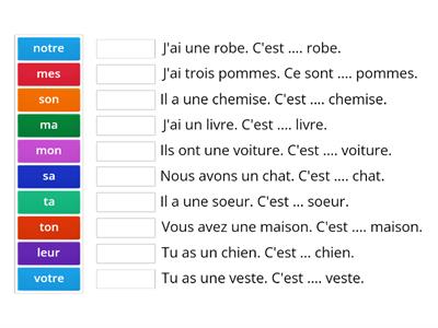 Adjectifs possessifs