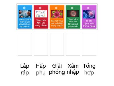 quá trình nhân lên của virut