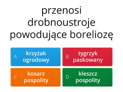 Pajęczaki - przedstawiciele