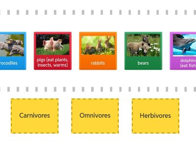 Carnivores, omnivores and herbivores 