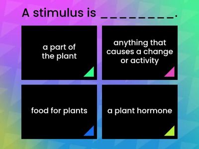 G4 plant responses to varying environment conditions