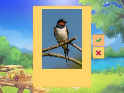 Знайди птахів 