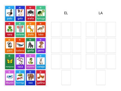 EL or LA? Definite article sigular