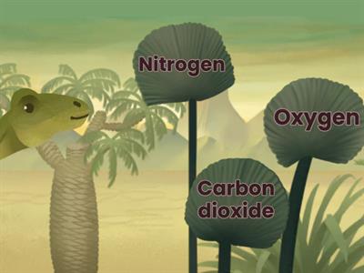 Grade 7 National Level Science Quiz