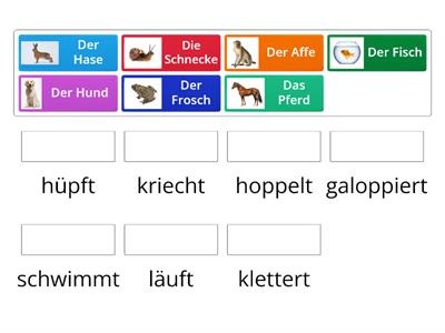 6_3_2b. Wie bewegen sich die Tiere?