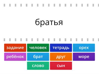 Именительный падеж. Множественное число существительных