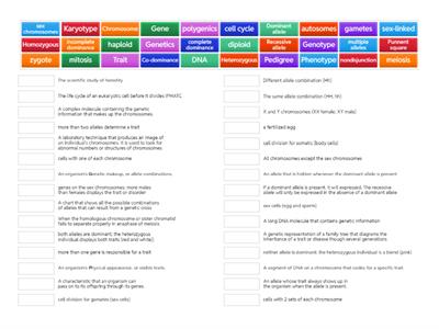 Mendelian and Non-Mendelian Genetics Matching