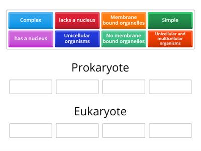 Prokaryote vs Eukaryote 