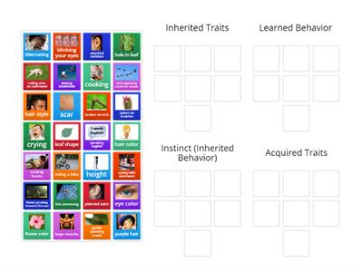 Inherited, Acquired, Learned, or Instinct
