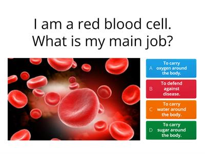 Specialised Cells Quiz