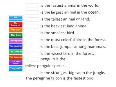 The cheetah is the fastest animal in the world.